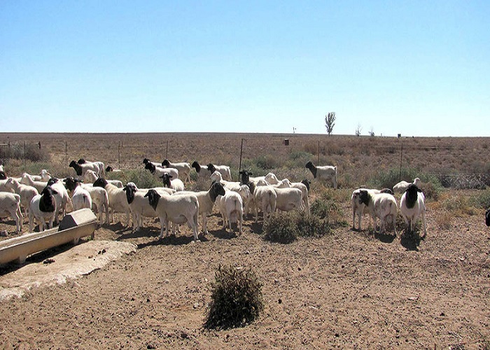Image karoo 3