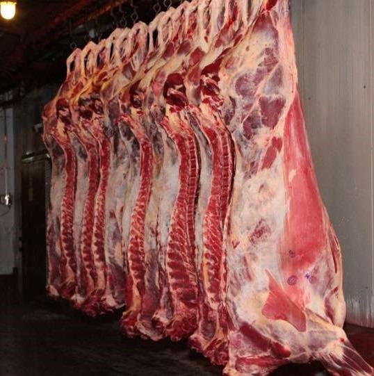 WhatsApp Image 2019-06-25 at 14.37.06 (1)